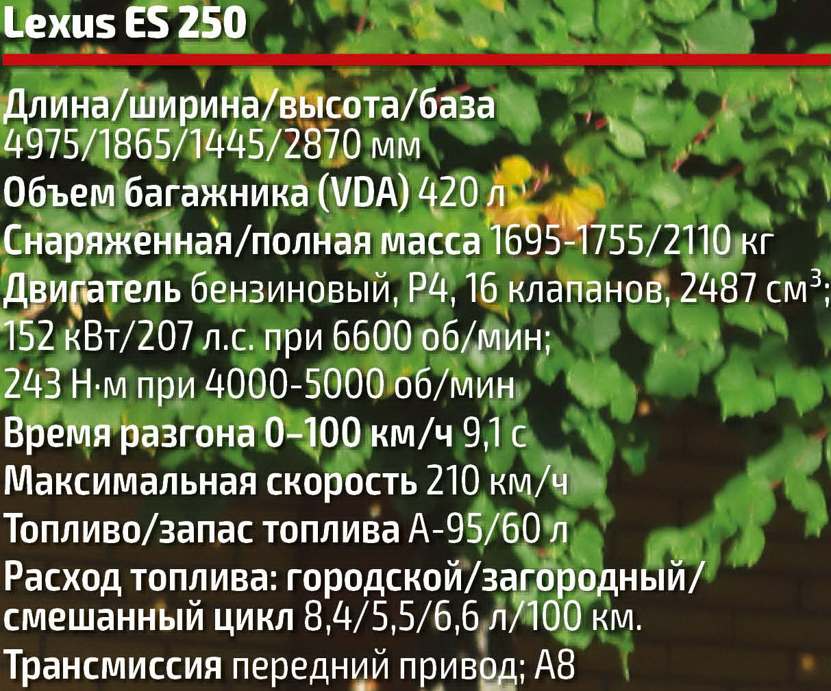 Lexus ES 250