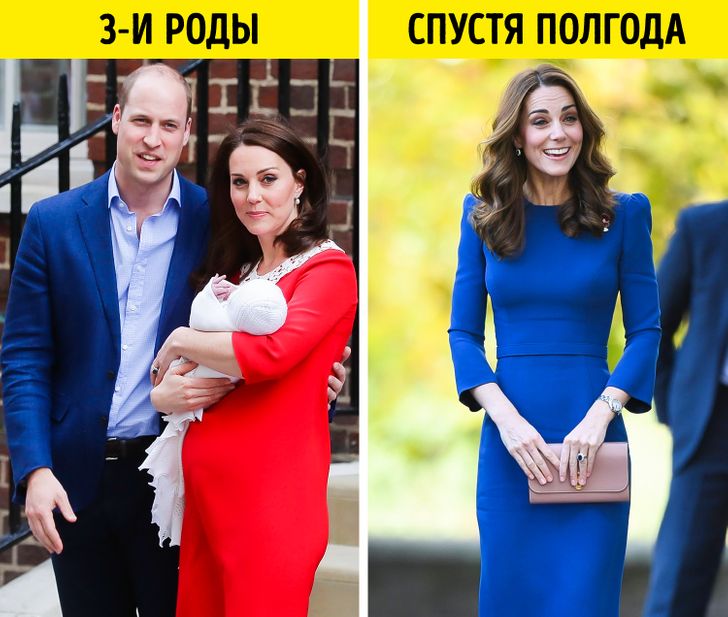Королевская Семья: история, роль и современное значение