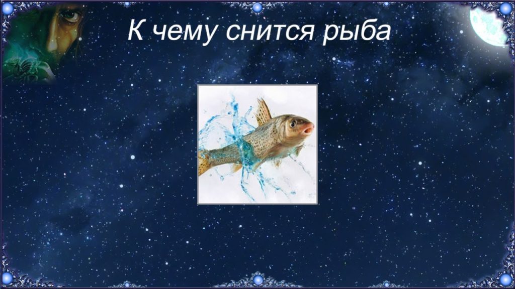 К Чему Снится Рыба: Толкование снов и символика