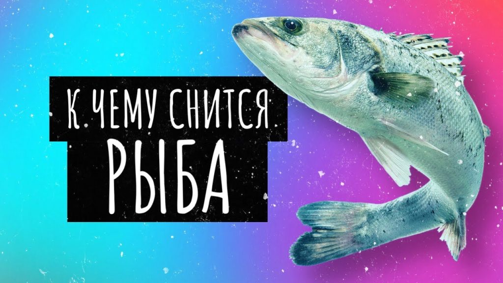 К Чему Снится Рыба: Толкование снов и символика