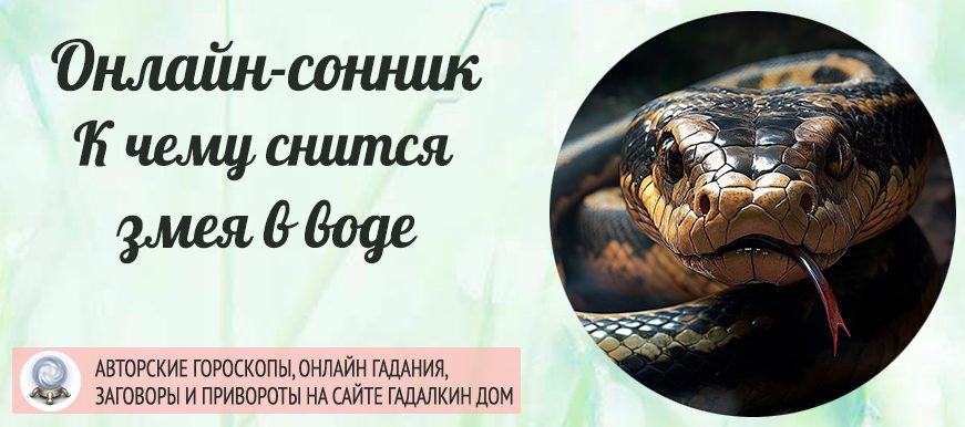 К Чему Снится Змея: Значение и Толкование Сновидения