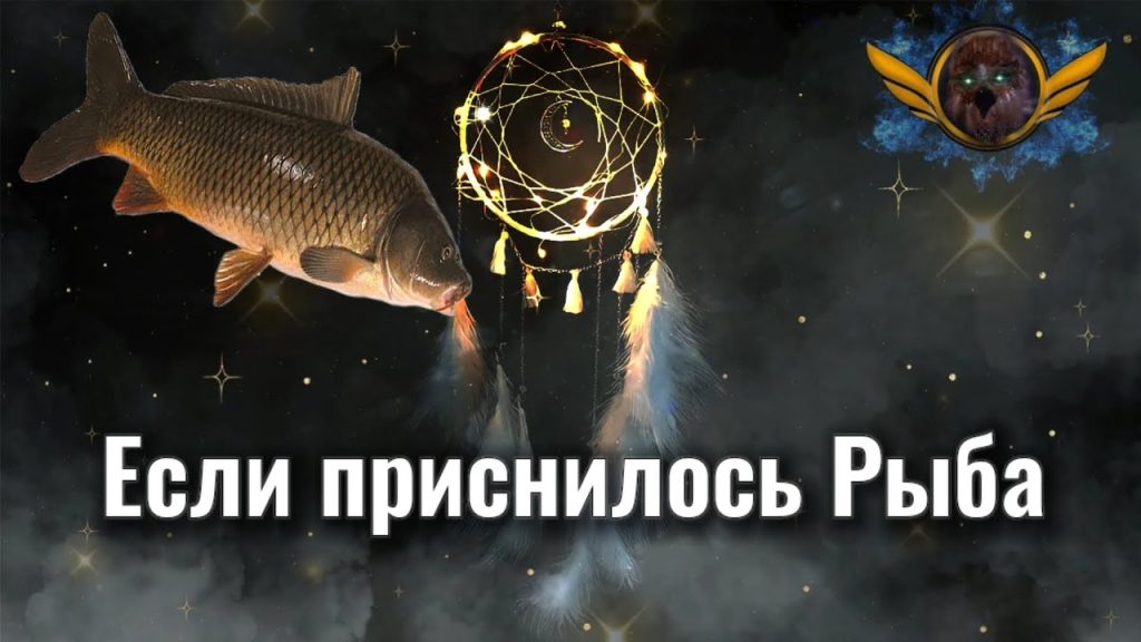 К Чему Снится Рыба: Толкование снов и символика