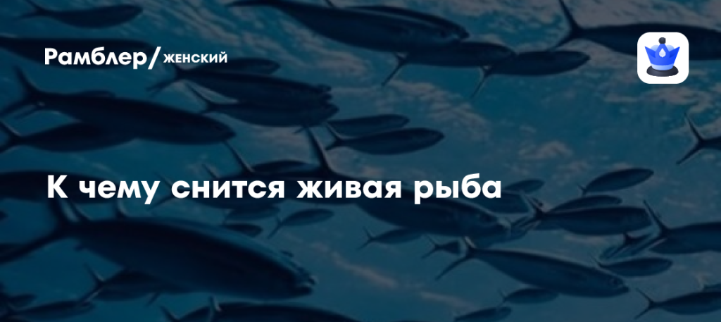 К Чему Снится Рыба: Толкование снов и символика