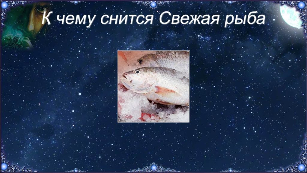 К Чему Снится Рыба: Толкование снов и символика