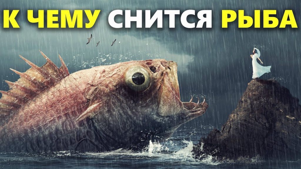К Чему Снится Рыба: Толкование снов и символика